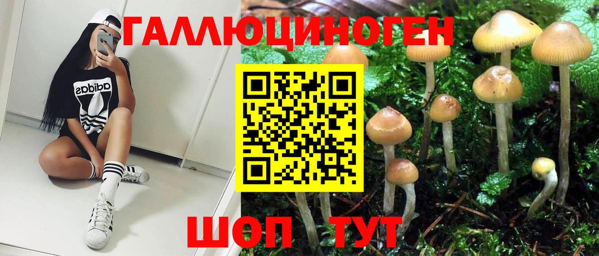 Псилоцибиновые грибы ЛСД  Вход с VPN  Нальчик  Галлюциногенные грибы Cubensis 