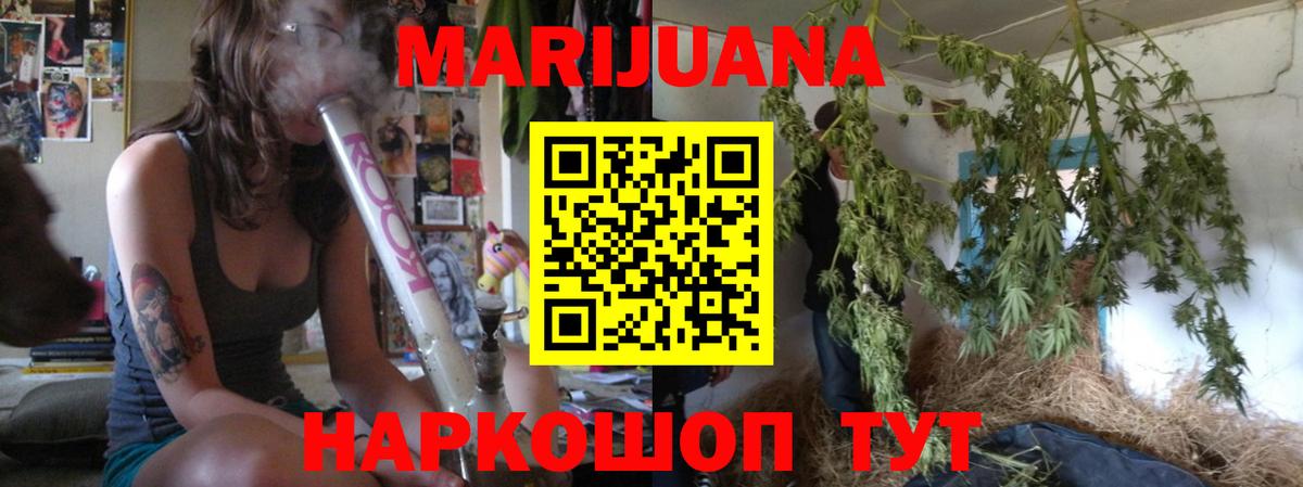 Конопля план Нальчик